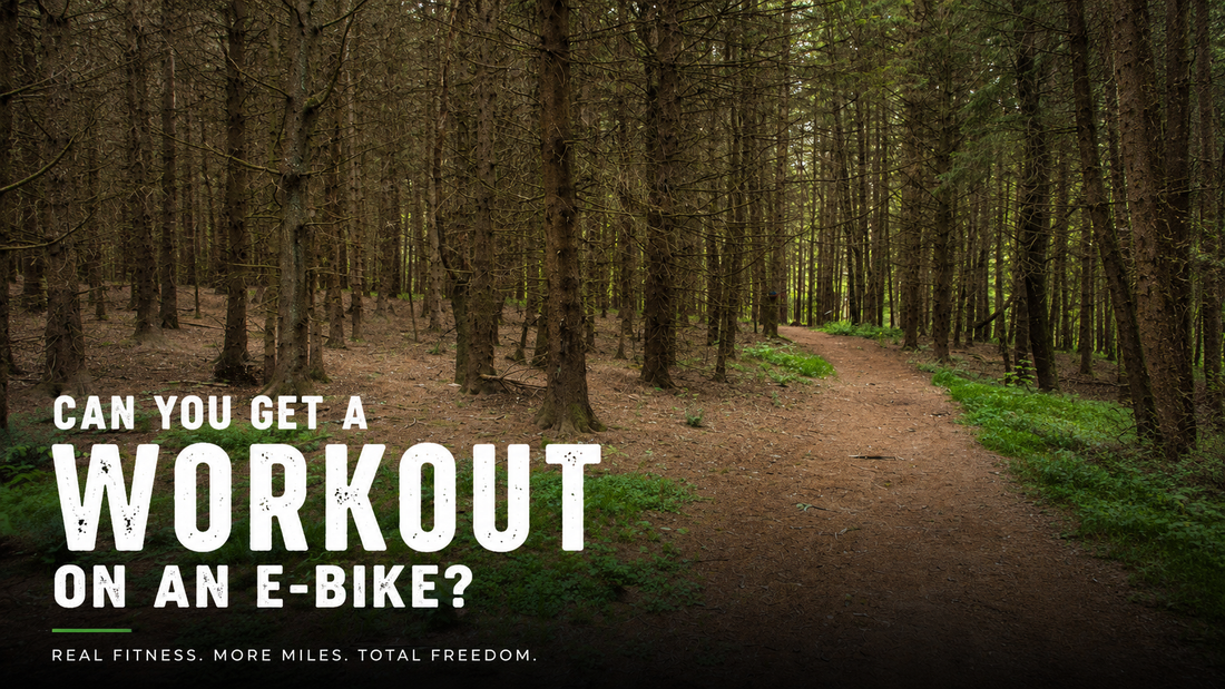 Forest trail for e-bike riding and outdoor fitness exploration